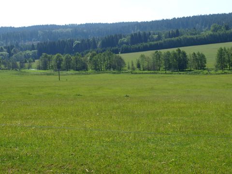 Foto 51